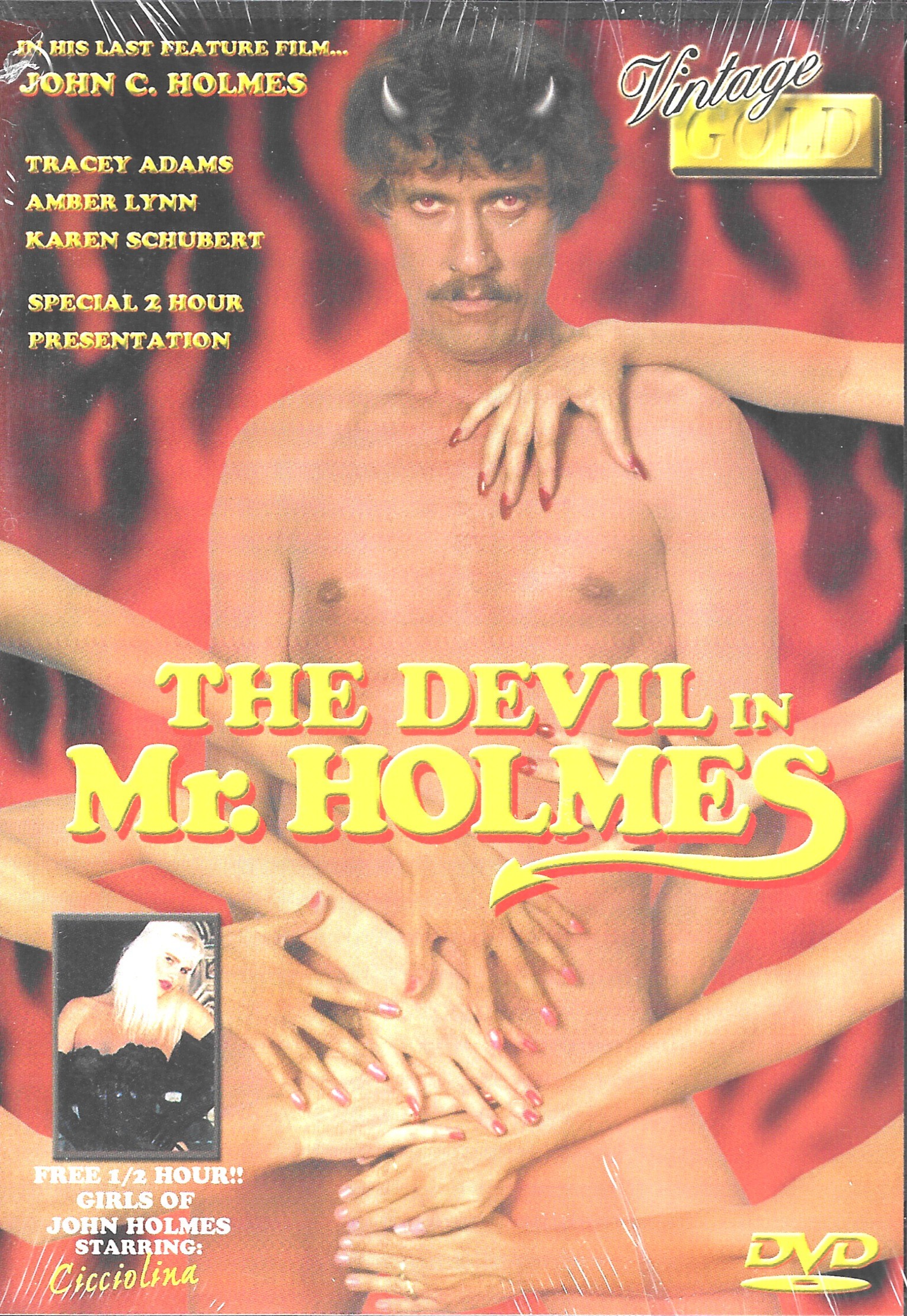 (image for) Devil In Mr. Holmes (2007)